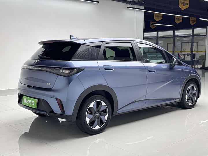 BYD Dolphin 2025 2025款 420km 时尚版