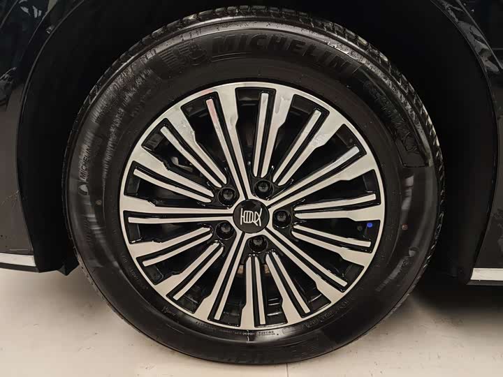 BYD Xia 2025 2025款 DM-i 1.5T 180km 卓越型