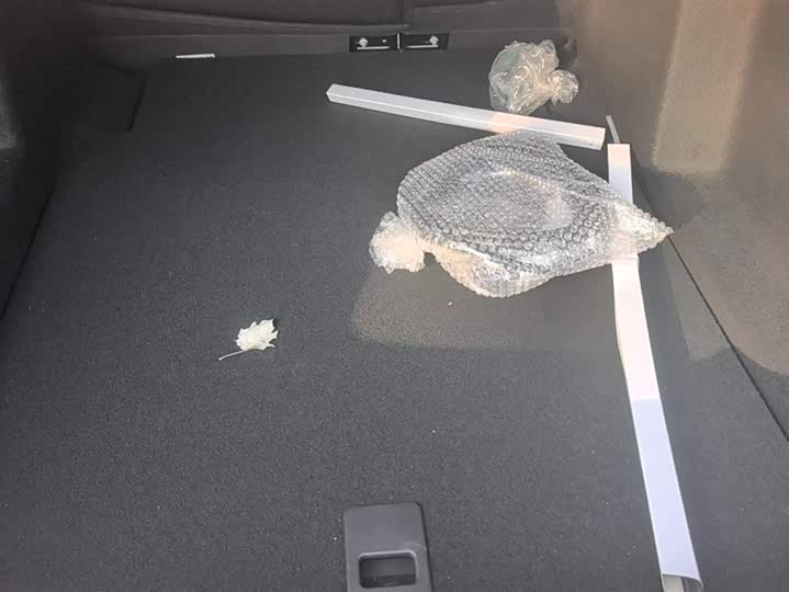 BYD Qin Plus 2025 2025款 EV 智驾版 420KM领先型