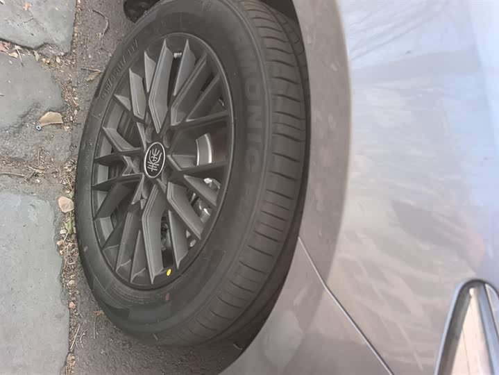 BYD Qin Plus 2025 2025款 EV 智驾版 420KM领先型