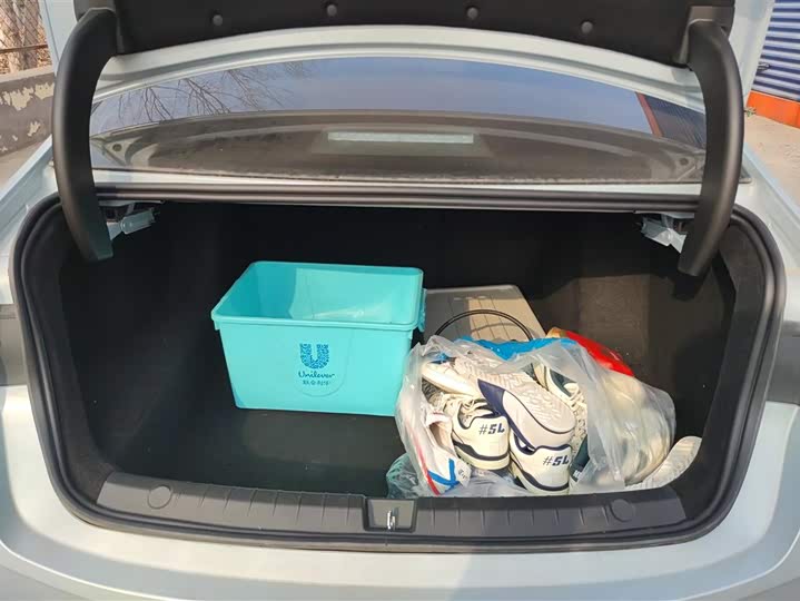 BYD Qin Plus 2025 2025款 DM-i 智驾版 55KM领先型