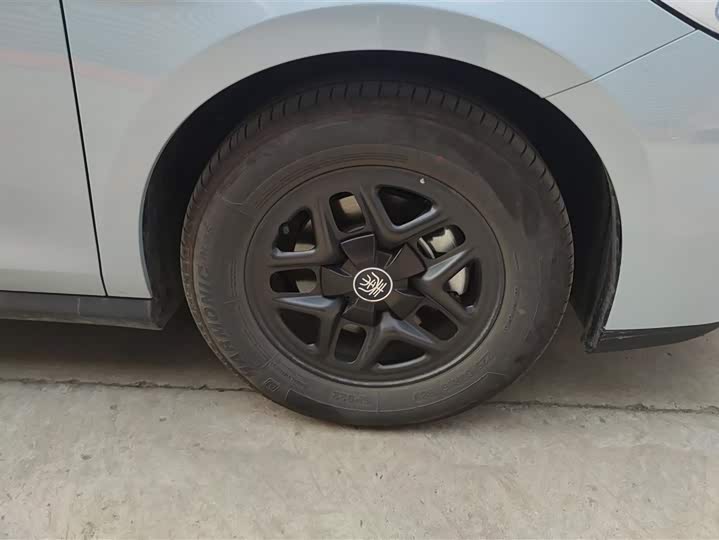 BYD Qin Plus 2025 2025款 DM-i 智驾版 55KM领先型