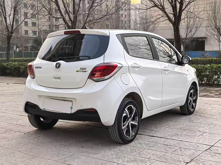 Changan BenBen E-Star 2023 2023款 清心版 多彩款 磷酸铁锂