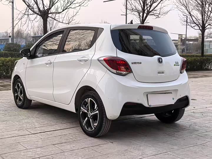 Changan BenBen E-Star 2023 2023款 清心版 多彩款 磷酸铁锂