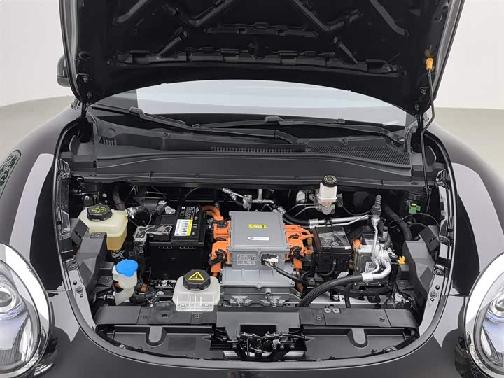 Ora Good Cat GT (03 GT) 2022 2022款 木兰版 480km长续航