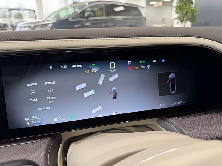 Denza Z9 2024 2024款 1100km 四驱Max版