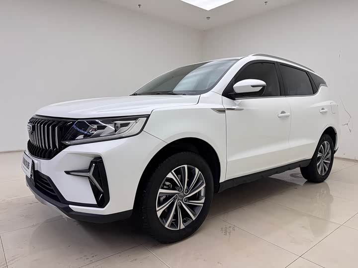 Geely Vision X6 2021 2021款 PRO 1.4T 自动尊贵型