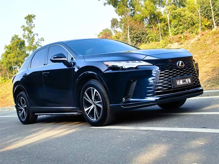 2025 Lexus RX