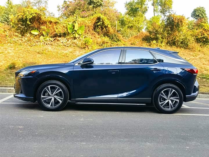 2025 Lexus RX