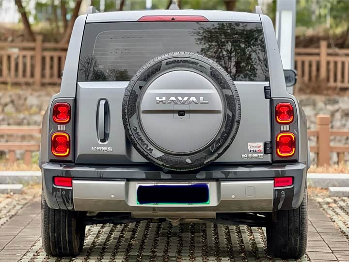 Haval Raptor Hybrid 2024 2024款 Hi4 145 穿越版
