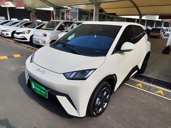 BYD Seagull 2025 2025款 305km 自由版