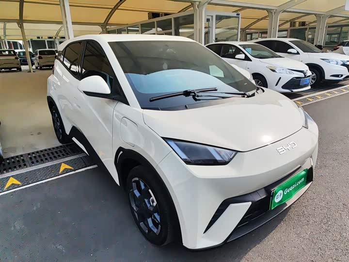 BYD Seagull 2025 2025款 305km 自由版