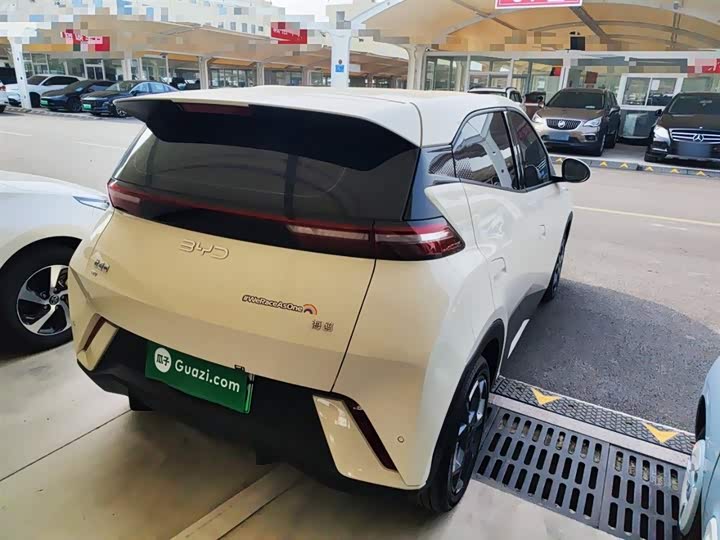 BYD Seagull 2025 2025款 305km 自由版