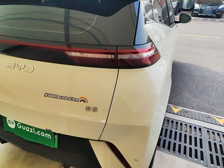 BYD Seagull 2025 2025款 305km 自由版