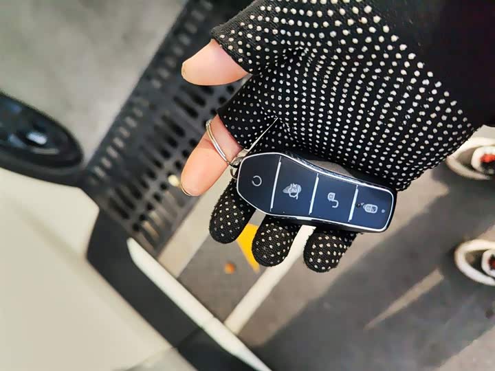 BYD Seagull 2025 2025款 305km 自由版