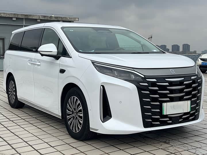 BYD Xia 2025 2025款 DM-i 1.5T 180km 卓越型