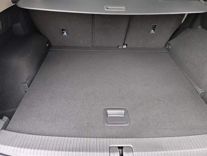 Volkswagen Tayron 2024 2024款 330TSI 两驱豪华Plus进阶版