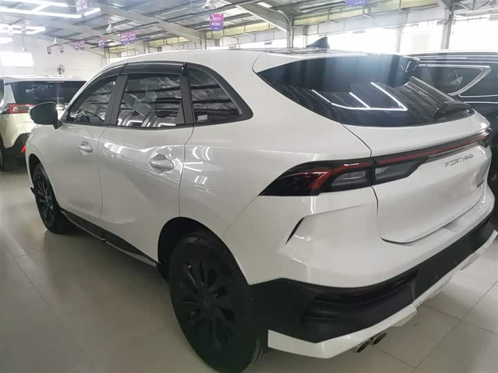 2024 Dongfeng Forthing T5 EVO