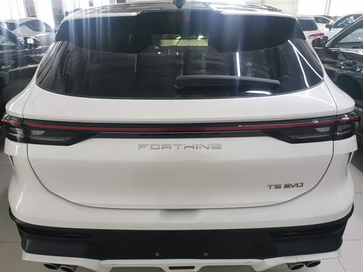 Dongfeng Forthing T5 EVO 2024 2024款 狂飚版 1.5TD DCT铂金款