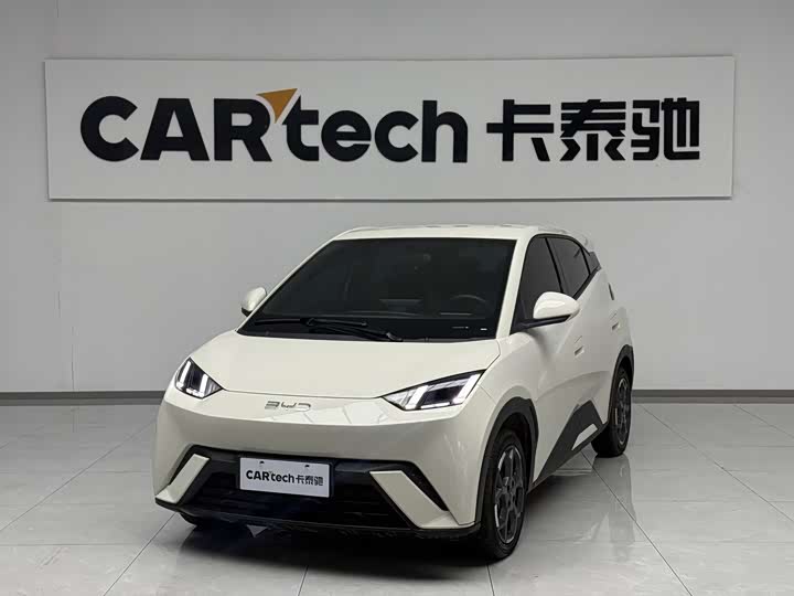 BYD Seagull 2025 2025款 305km 自由版