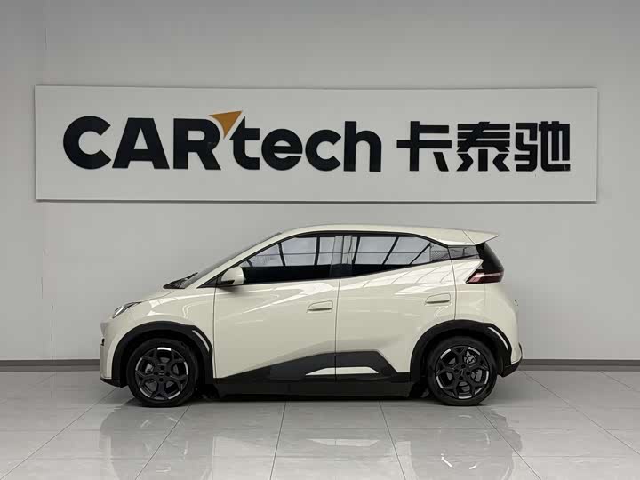 BYD Seagull 2025 2025款 305km 自由版