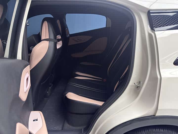 BYD Seagull 2025 2025款 305km 自由版