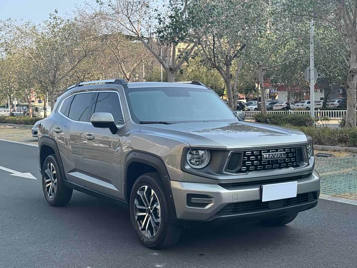 Haval H-Dog 2023 2023款 2.0T 两驱潮野版