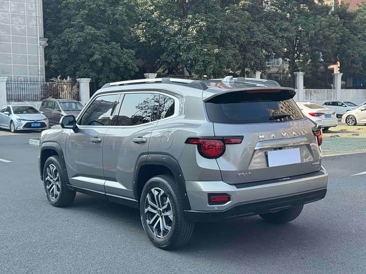 Haval H-Dog 2023 2023款 2.0T 两驱潮野版