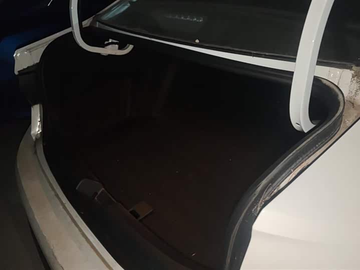 Volkswagen Sagitar L 2024 2024款 300TSI DSG超越版