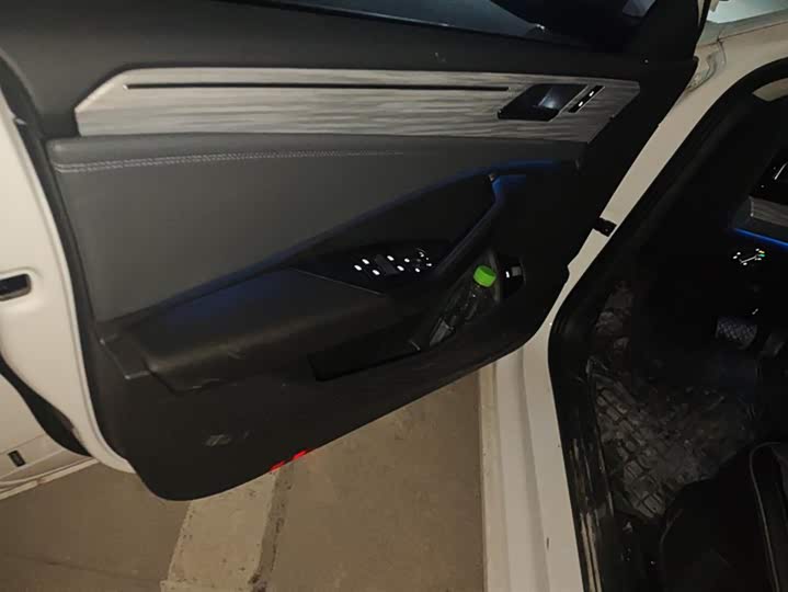 Volkswagen Sagitar L 2024 2024款 300TSI DSG超越版