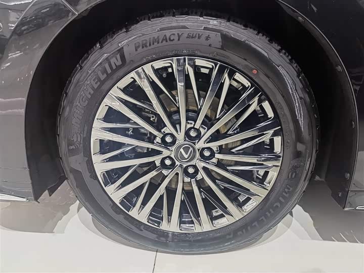 Lexus LM 2023 2023款 350h 七座隽雅版