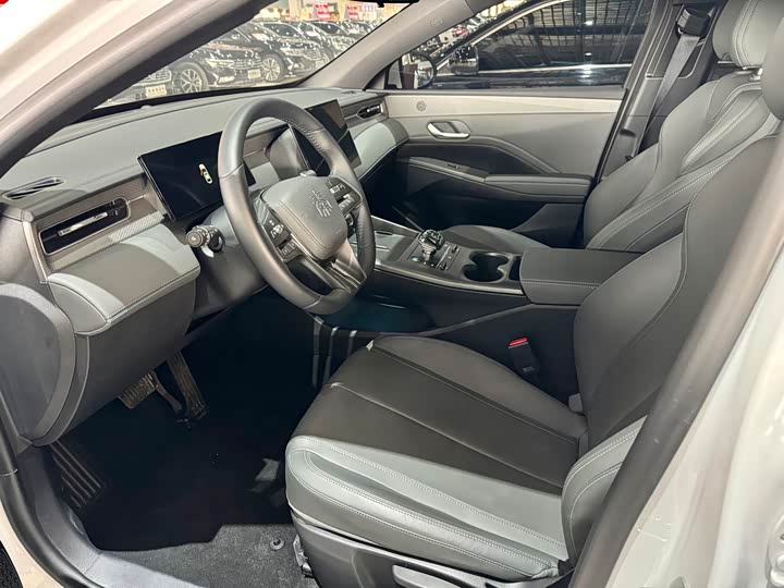 BYD Qin Plus 2025 2025款 DM-i 智驾版 55KM领先型