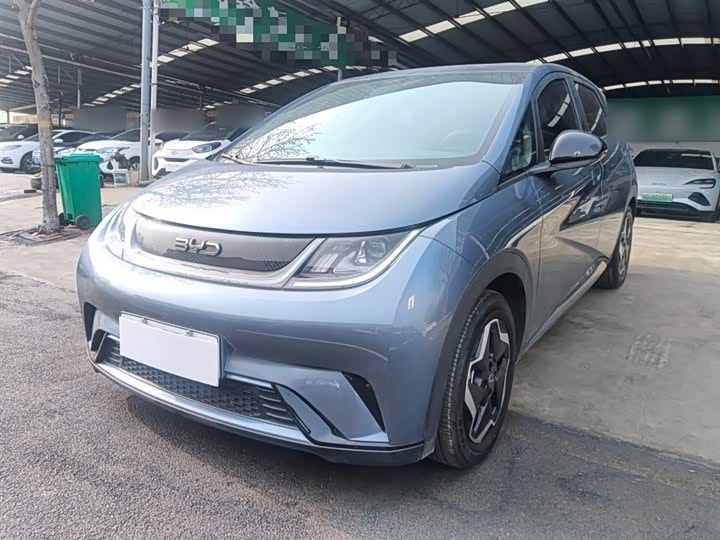 2025 BYD Dolphin