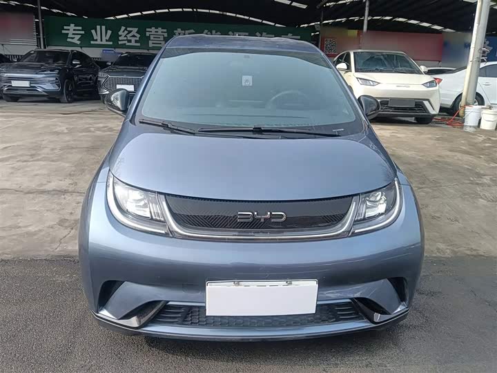 2025 BYD Dolphin