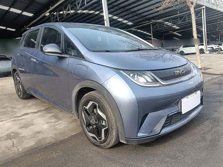2025 BYD Dolphin