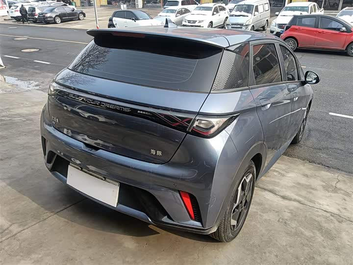 BYD Dolphin 2025 2025款 420km 活力版