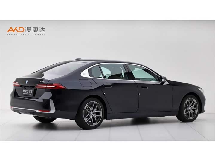BMW 5 Series 2024 2024款 530Li 领先型 豪华套装