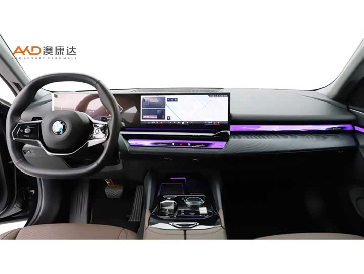 BMW 5 Series 2024 2024款 530Li 领先型 豪华套装