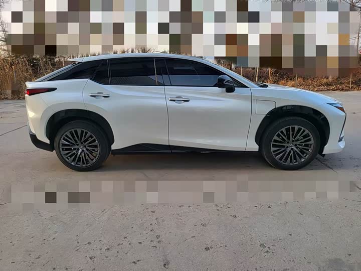 Lexus RZ 2023 2023款 450e 四驱纵领版