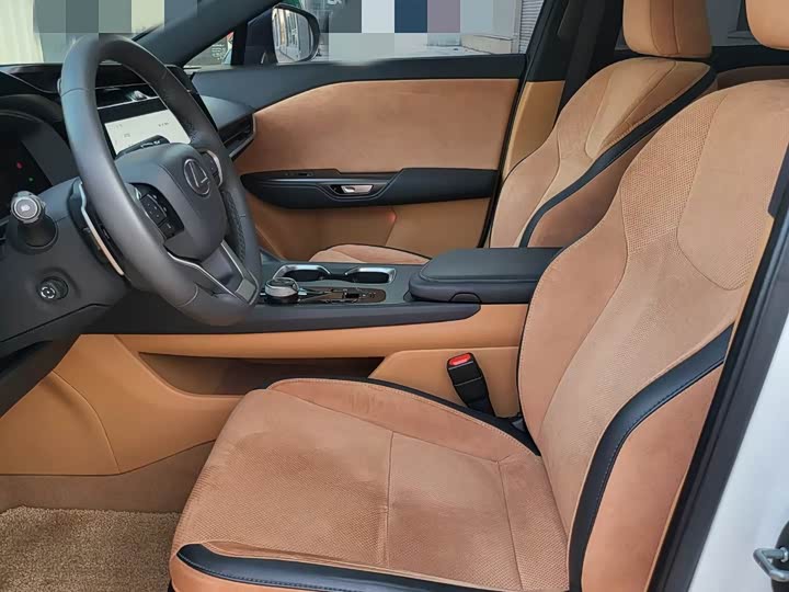 Lexus RZ 2023 2023款 450e 四驱纵领版