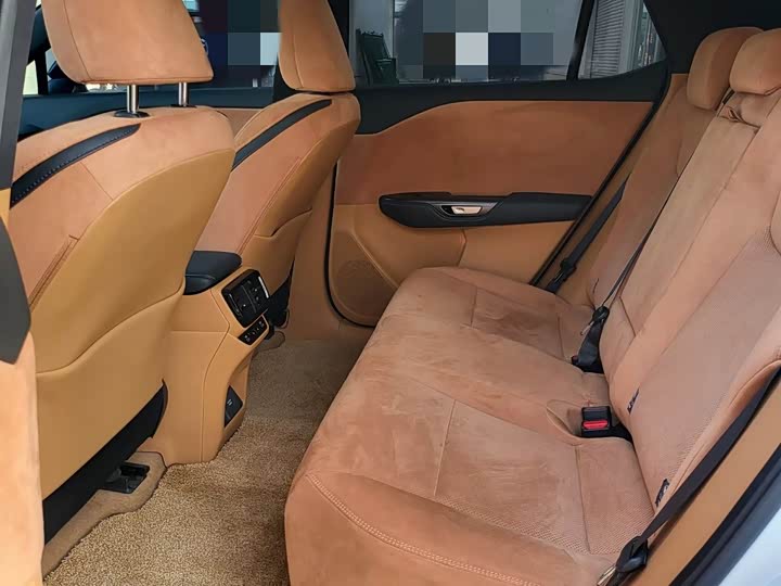 Lexus RZ 2023 2023款 450e 四驱纵领版