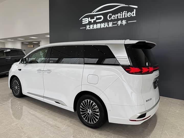 Denza D9 2025 2025款 DM-i 智驾版 1020 四驱旗舰型