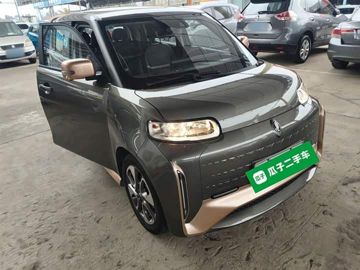 Ora White Cat 2022 2022款 小野猫版 401km 旗舰型 三元锂