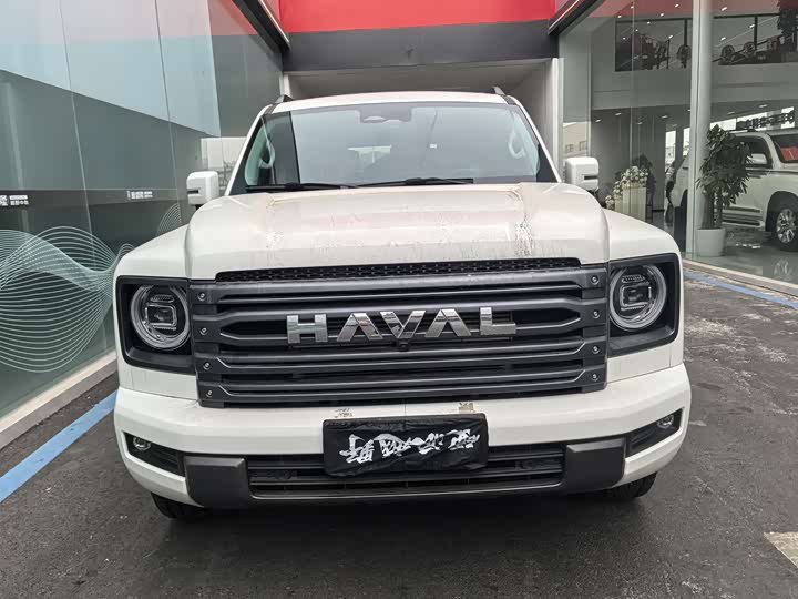 Haval H9 2024 2024款 2.4T 柴油四驱极境版