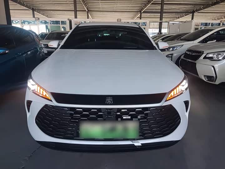 BYD Qin Plus 2025 2025款 DM-i 智驾版 55KM领先型