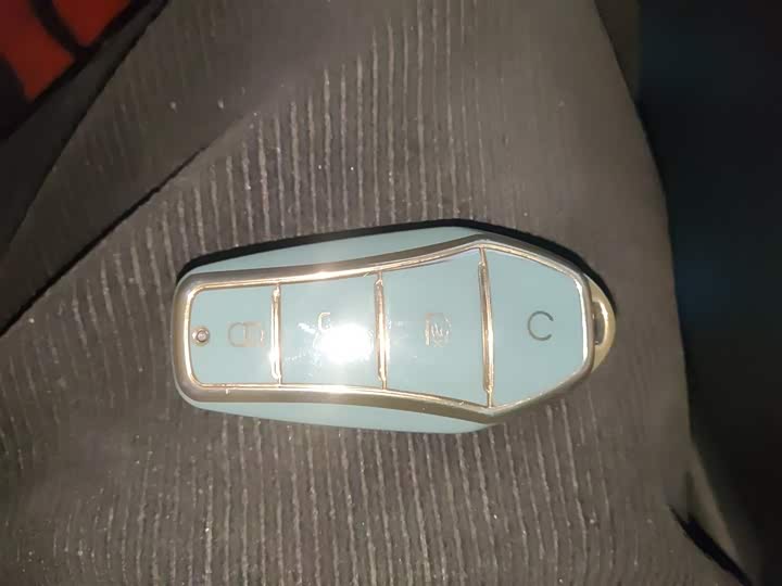 BYD Qin Plus 2025 2025款 DM-i 智驾版 55KM领先型