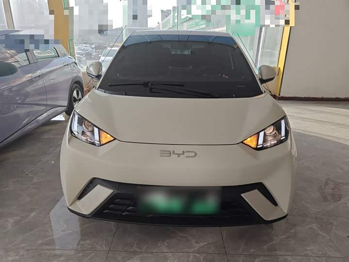 BYD Seagull 2025 2025款 305km 活力版