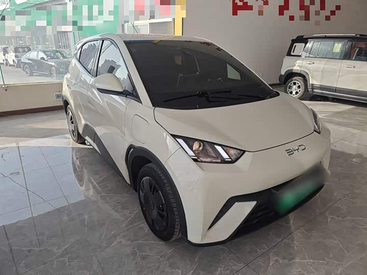 BYD Seagull 2025 2025款 305km 活力版