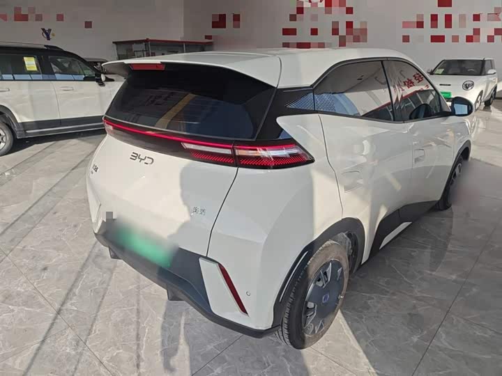 BYD Seagull 2025 2025款 305km 活力版