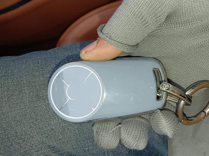 Ora Lightning Cat (07) 2022 2022款 555km 尊贵版